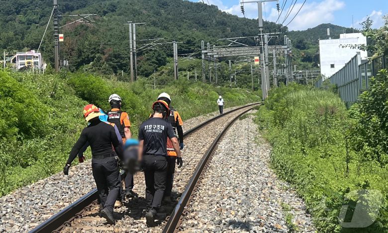 19일 오전 11시 50분쯤 경북 청도군 청도소싸움 경기장 인근 경부선 철로에서 마산으로 향하던 무궁화 열차가 선로에서 작업하던 근로자 7명을 치는 사고가 발생해 출동한 119구조대원이 부상자를 옮기고 있다. 소방 당국 등에 따르면 근로자들은 수혜지역 비탈면의 안전 점검을 위해 작업하다 열차에 부딪혔다. 이 사고로 현재까지 2명이 숨지고, 4명이 중상, 1명이 경상을 입었다. (청도소방서 제공, 재판매 및 DB금지) 2025.8.19/뉴스1 ⓒ News1 정우용 기자