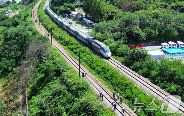 19일 오전 10시 52분쯤 경북 청도군 화양읍 삼신리 청도소싸움 경기장 인근 경부선 철로에서 마산으로 향하던 무궁화 열차가 선로에서 작업하던 근로자 7명을 치는 사고가 발생했다. 경찰과 소방, 코레일 등 관계자들이 사고 현장을 조사하는 가운데 우측으로 열차가 서행하고 있다. 2025.8.19/뉴스1 ⓒ News1 공정식 기자