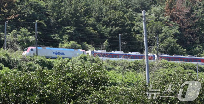 19일 오전 10시 52분쯤 경북 청도군 화양읍 삼신리 청도소싸움 경기장 인근 경부선 철로에서 마산으로 향하던 무궁화 열차가 선로에서 작업하던 근로자 7명을 치는 사고가 발생했다. 무궁화 열차가 사고로 정차해 있다. 2025.8.19/뉴스1 ⓒ News1 공정식 기자