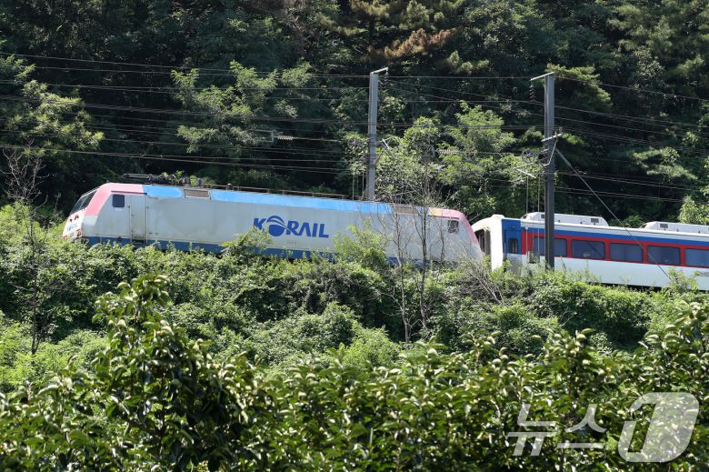 19일 오전 10시 52분쯤 경북 청도군 화양읍 삼신리 청도소싸움 경기장 인근 경부선 철로에서 마산으로 향하던 무궁화 열차가 선로에서 작업하던 근로자 7명을 치는 사고가 발생했다. 무궁화 열차가 사고로 정차해 있다. 2025.8.19/뉴스1 ⓒ News1 공정식 기자