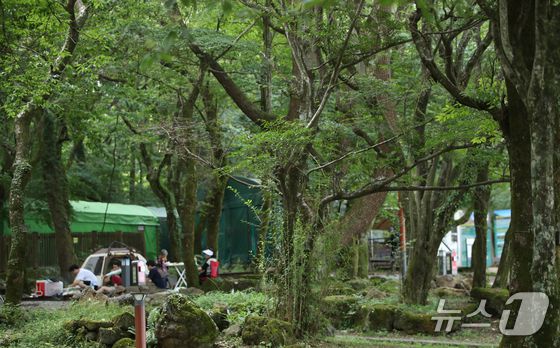 한라산을 제외한 전국에 폭염특보가 내려진 24일 오후 제주 한라산국립공원 관음사 야영장에서 도민과 관광객들이 여유를 즐기고 있다. 2025.8.24/뉴스1 ⓒ News1 오현지 기자