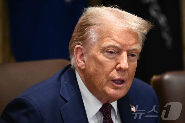 도널드 트럼프 미국 대통령. ⓒ AFP=뉴스1 ⓒ News1