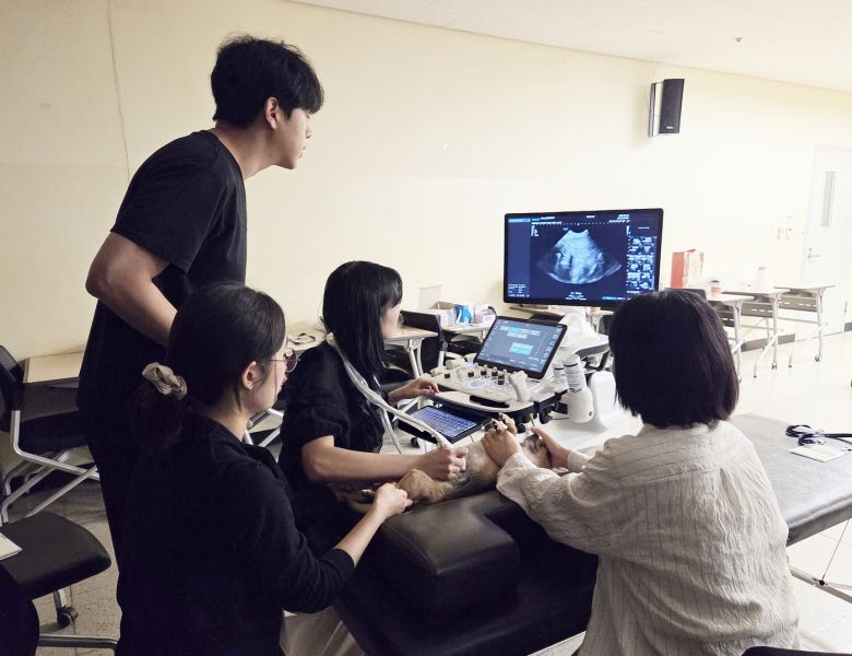 2025 서울수의임상콘퍼런스 복부초음파 실습 현장 ⓒ 뉴스1 한송아 기자