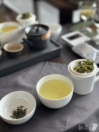 소노캄경주에서 시범 운영한 다도 체험. 2025.9.18/뉴스1 ⓒ News1 윤슬빈 기자