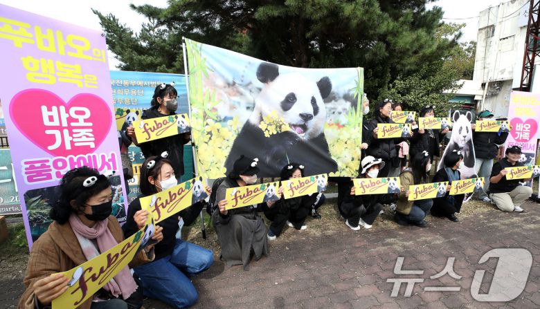 우리나라에서 큰 인기를 끌었던 판다 '푸바오'를 사랑하는 인터넷 커뮤니티 '푸바오구출대작전' 회원들이 30일 오후 APEC 정상회의에 참석하는 중국 시진핑 주석의 경주 방문을 앞두고 경주시 황남동 내남네거리에서 푸바오의 사육 환경 개선을 요구하는 기자회견을 열고 있다. 2025.10.30/뉴스1 ⓒ News1 공정식 기자