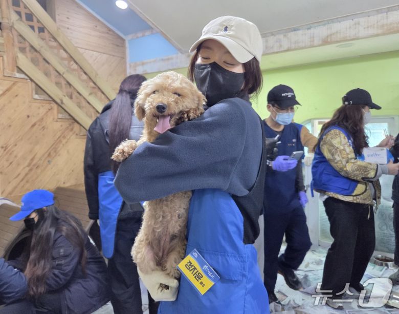 배우 정지윤이 보호견을 안고 예방접종을 기다리고 있다. ⓒ 뉴스1 한송아 기자