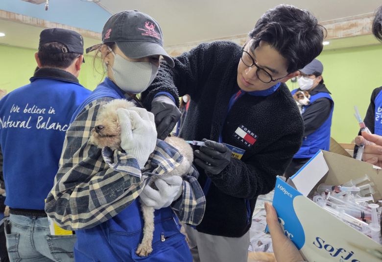 이지원 루안앤코 갤러리 실장(왼쪽)이 안고 있는 보호견에게 이세원 대구 24시 바른동물의료센터 원장이 예방접종을 하고 있다. ⓒ 뉴스1 한송아 기자
