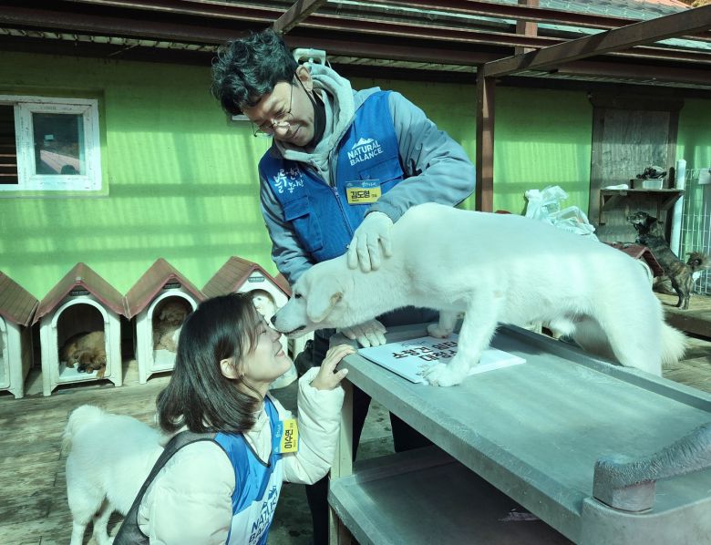 반려동물 헬스케어 전문기업 펫라이즈 김도형 대표와 이수연 이사가 지난 2일 블루엔젤봉사단 활동에 참여해 보호견과 교감하고 있다. ⓒ 뉴스1 한송아 기자