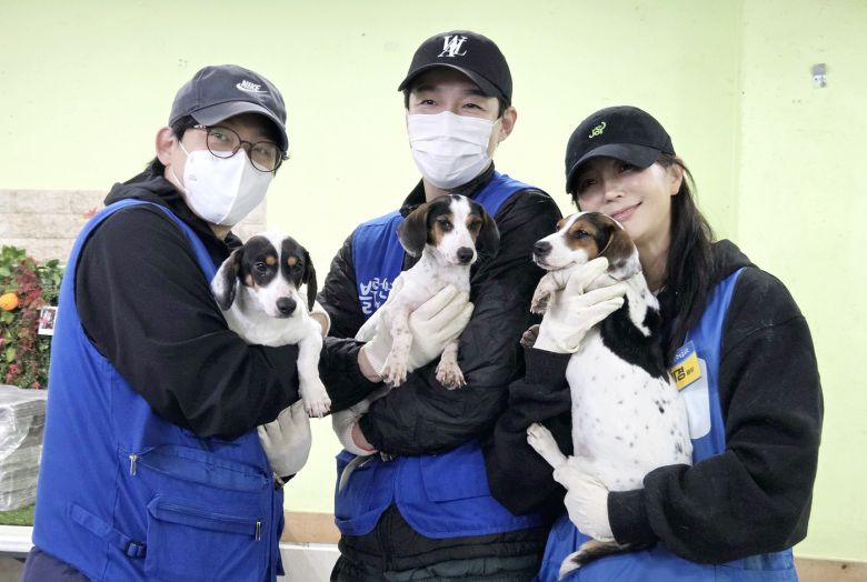 입양홍보를 위해 보호견들을 안고 사진을 찍고 있는 배우 안혜경(오른쪽부터), 허동원, 이승준 ⓒ 뉴스1 한송아 기자