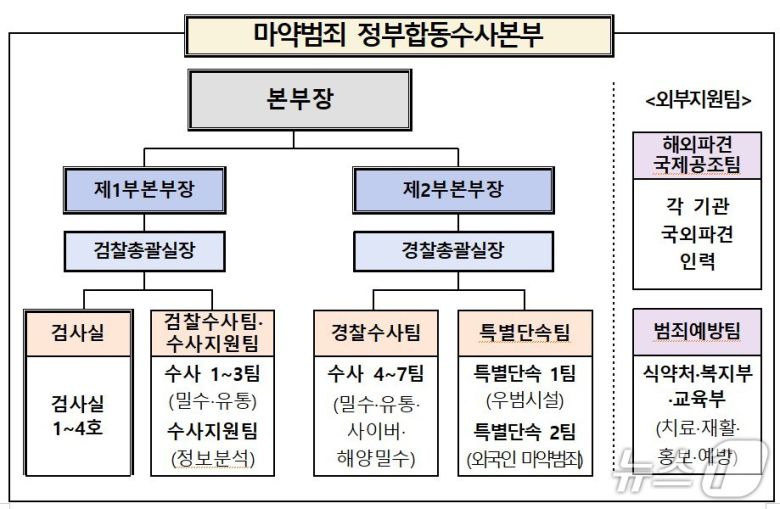 마약범죄 합동수사본부 조직도.(대검찰청 제공)
