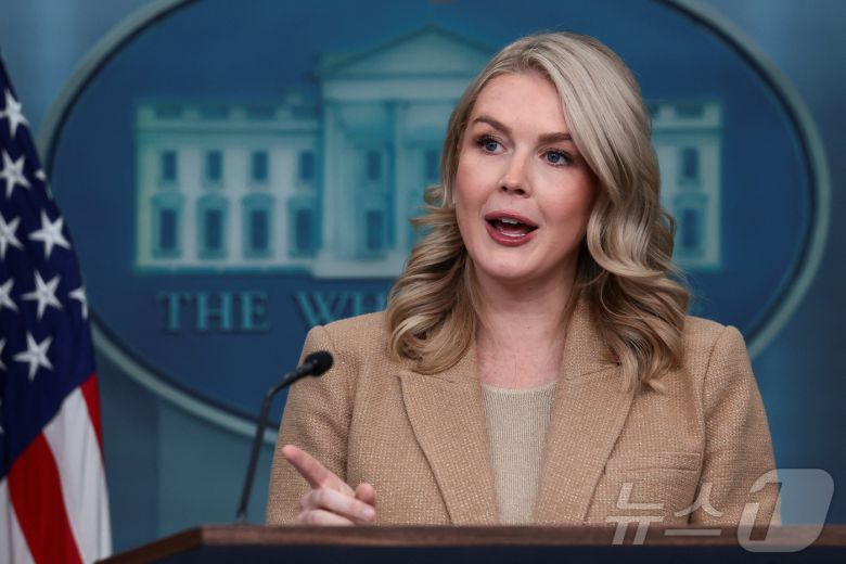 캐롤라인 레빗 백악관 대변인이 1일(현지시간) 워싱턴DC 백악관에서 언론 브리핑을 진행하고 있다. 2025.12.01. ⓒ 로이터=뉴스1 ⓒ News1 류정민 특파원