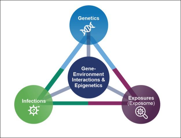 인간 노출체 프로젝트(Human Exposome Project ) 개념도.(토마스 하퉁 미국 존스홉킨스 블룸버그 공중보건대 교수 제공)/한국과학기자협회 공동취재단
