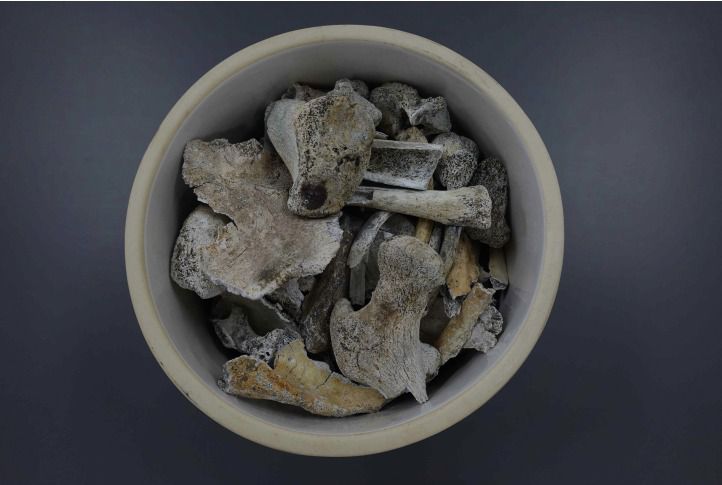 2005년 3월 국방부 유해발굴감식단이 발굴한 고(故) 정용환 일병의 유해.(국방부 제공)