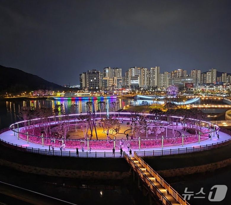 대전  갑천생태호수공원 야경 (대전도시공사 제공) / 뉴스1