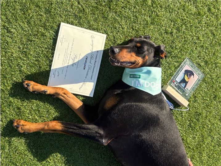 응급헌혈 참여견 '풀리아'(건국대 제공) ⓒ 뉴스1