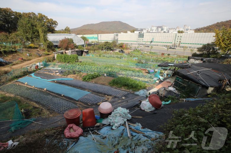 서울 서초구 원지동 모습. (자료사진) /뉴스1 ⓒ News1 박세연 기자