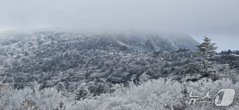 지리산에 쌓인 눈(국립공원공단 지리산국립공원경남사무소 제공).