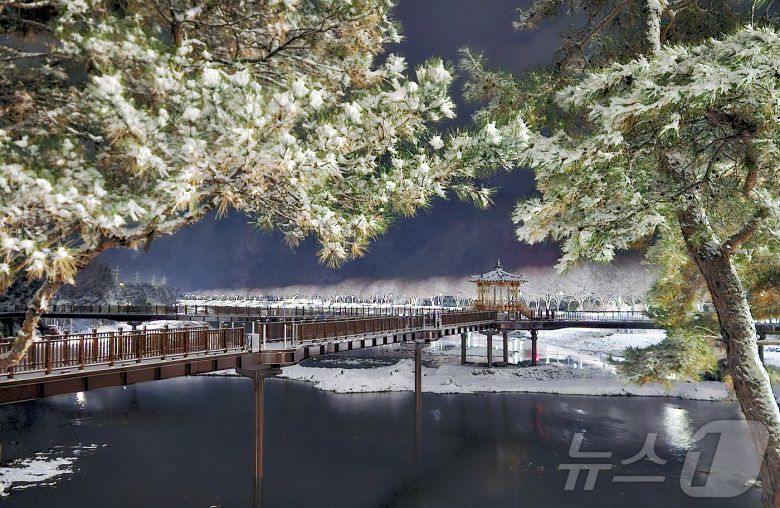 충북 괴산군 동진천 에코브릿지가 밤새 내린 눈으로 멋진 설경을 연출하고 있다.(괴산군 제공, 재판매 및 DB금지)/뉴스1