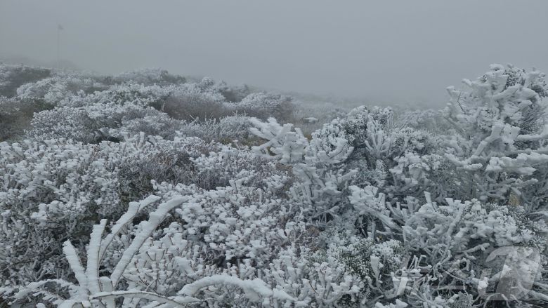 한라산에 눈이 내린 모습.(한라산국립공원  제공. 재판매 및 DB 금지)2025.11.18/뉴스1 ⓒ News1