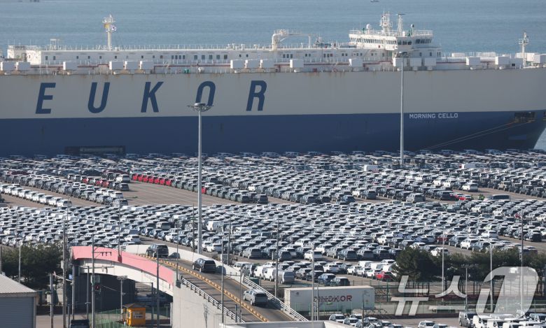 4일 경기 평택시 포승읍 평택항에 수출용 차량이 세워져 있다(자료사진).  2025.12.4/뉴스1 ⓒ News1 김영운 기자