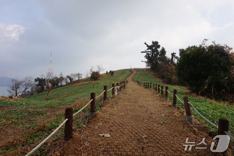모도 탐방로 ‘무지개 언덕’.2025.12.19/뉴스1 ⓒ News1 조영석 기자