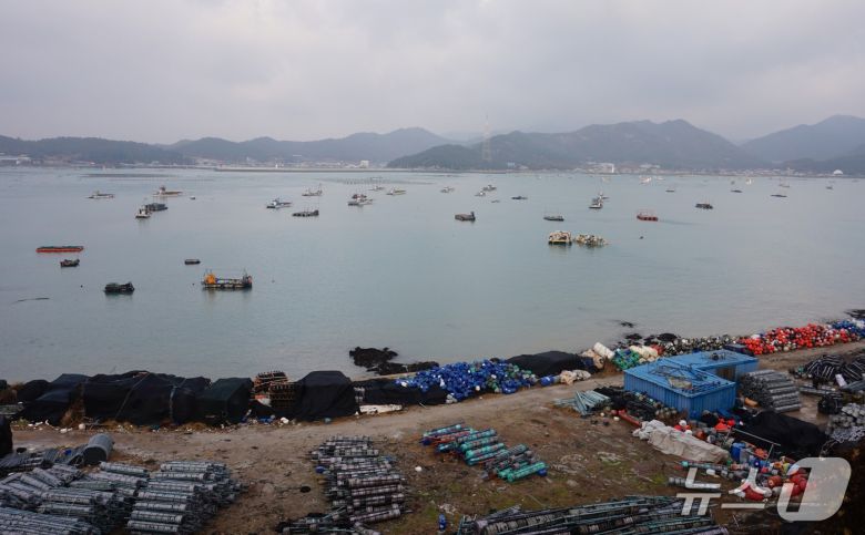 모도 앞바다를 가득 채운 김 조업 배.2025.12.19/뉴스1 ⓒ News1 조영석 기자