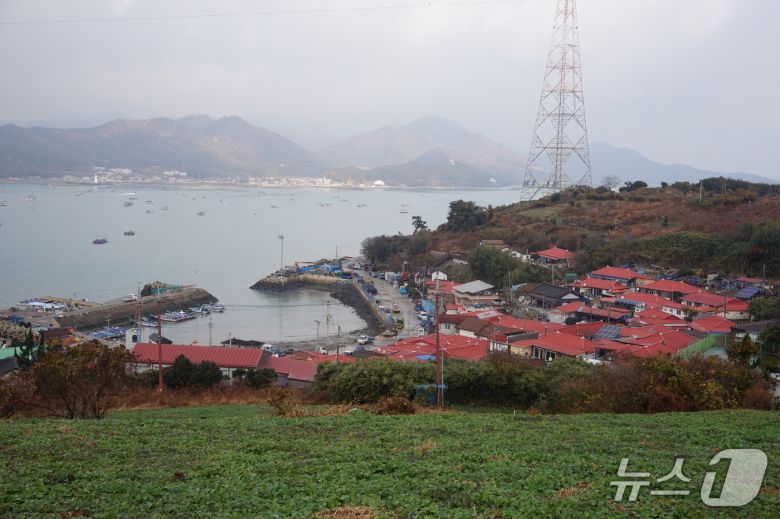 탐방로에서 본 모도마을.2025.12.19/뉴스1 ⓒ News1 조영석 기자