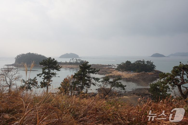 썰물 때면 모도와 육지로 이어지는 두룩섬과 고래섬. 2025.12.19/뉴스1 ⓒ News1 조영석 기자