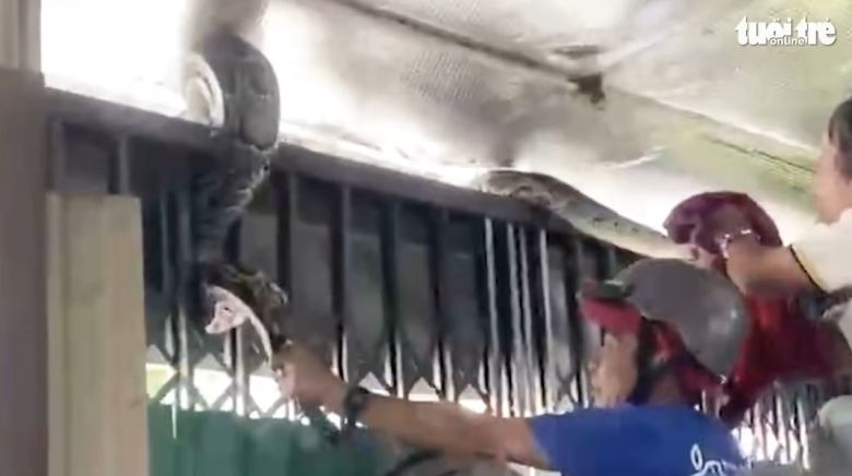 (출처=투오이트레 유튜브)