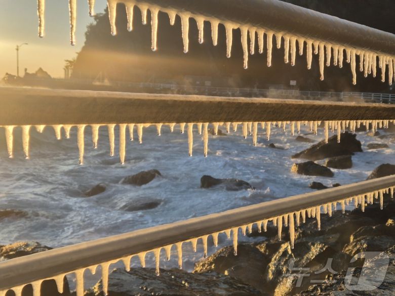 강원 대부분 지역에 한파특보가 발효된 26일 동해안 대표 해안도로인 강릉시 강동면 심곡~금진 구간 헌화로 난간에 고드름이 매달려 있다. 2025.12.26/뉴스1 ⓒ News1 윤왕근 기자
