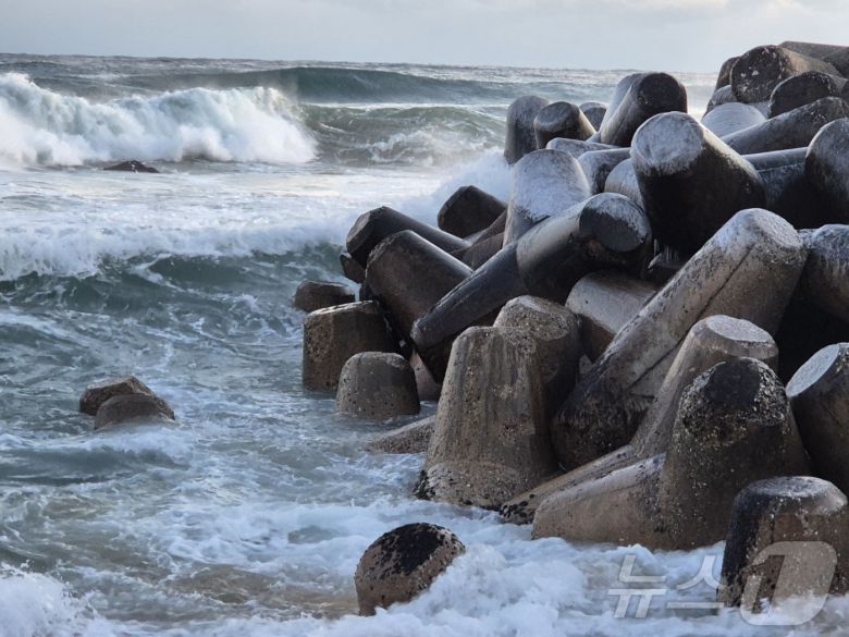 강원 대부분 지역에 한파특보가 발효된 26일 강릉시 강문해변 테트라포드에 얼음이 얼어붙어 혹한의 기세를 보여주고 있다. 2025.12.26/뉴스1 ⓒ News1 윤왕근 기자