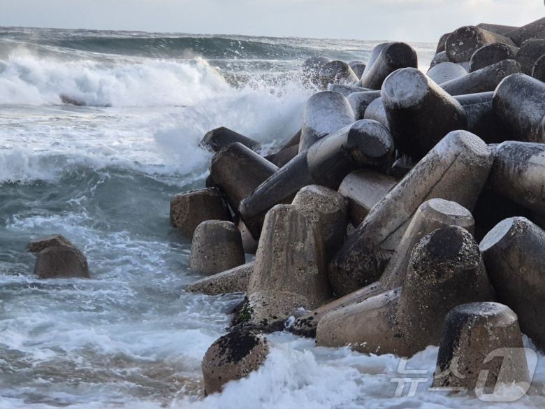 강원 대부분 지역에 한파특보가 발효된 26일 강릉시 강문해변 테트라포드에 얼음이 얼어붙어 혹한의 기세를 보여주고 있다. 2025.12.26/뉴스1 ⓒ News1 윤왕근 기자