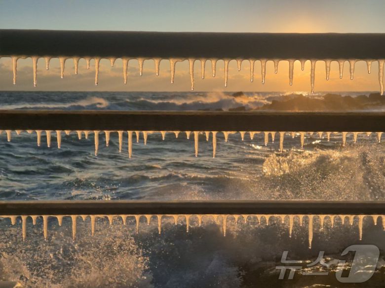 강원 대부분 지역에 한파특보가 발효된 26일 동해안 대표 해안도로인 강릉시 강동면 심곡~금진 구간 헌화로 난간에 고드름이 매달려 있다. 2025.12.26/뉴스1 ⓒ News1 윤왕근 기자