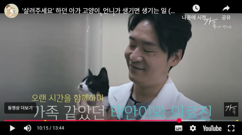 가족이라면서요 유튜브 영상 갈무리 ⓒ 뉴스1