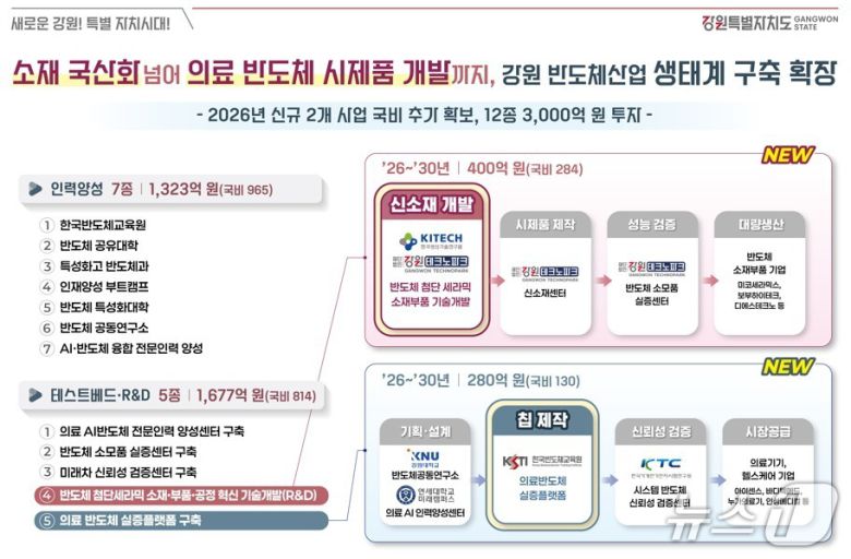 강원도 반도체 산업 분야 투자 계획.(강원도 제공, 재판매 및 DB금지)