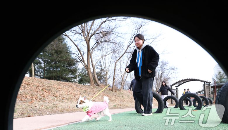 14일 경기 화성시 마도면 반려마루 화성에서 청소년 자원봉사자들이 방학을 맞아 보호동물과 교감활동을 하고 있다.  2026.1.14/뉴스1 ⓒ News1 김영운 기자