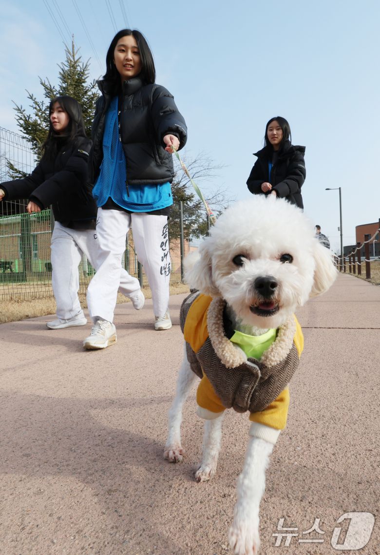 14일 경기 화성시 마도면 반려마루 화성에서 청소년 자원봉사자들이 방학을 맞아 보호동물과 교감활동을 하고 있다.  2026.1.14/뉴스1 ⓒ News1 김영운 기자