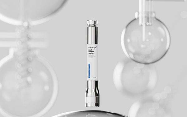 사진=올릿 제공