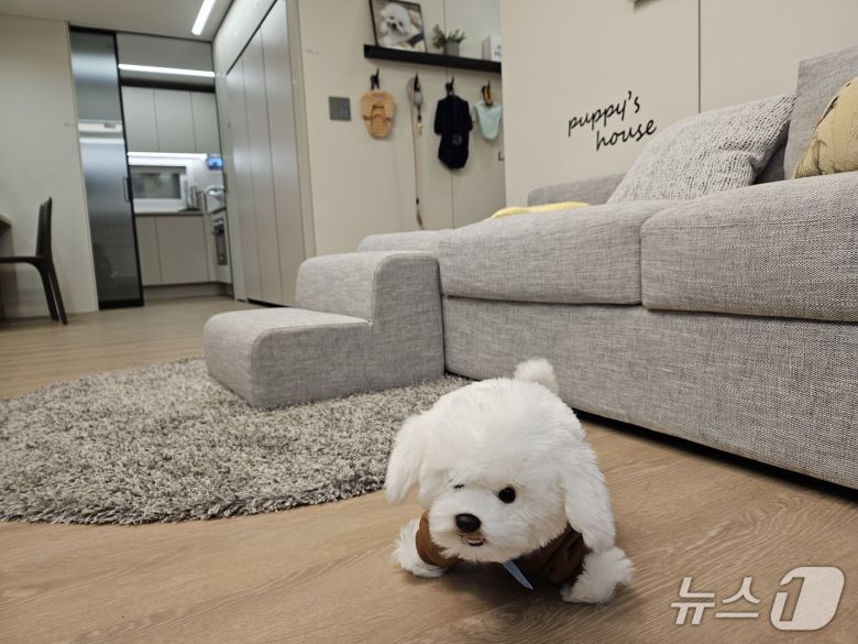 반려동물 특화 인테리어가 옵션으로 제공되는 '드파인 연희'.  2026. 1. 16. 오현주 기자 (뉴스1 ⓒ News1)