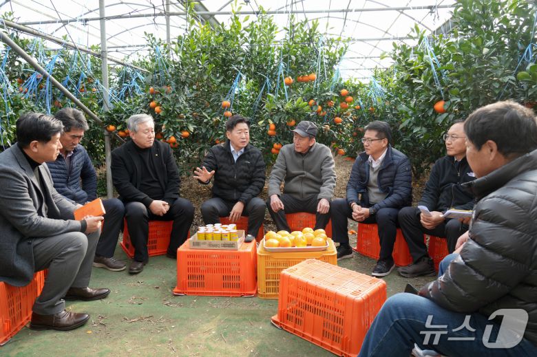 오영훈 제주특별자치도지사가 지난 14일 제주시의 한 레드향 재배 농가를 방문해 농업인들의 의견을 청취하고 있다.(제주특별자치도 제공, 재판매 및 DB 금지)