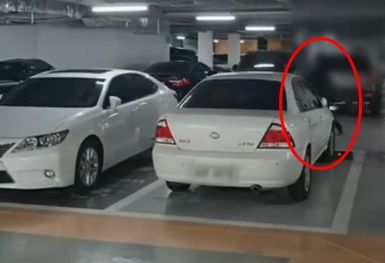 한 남성이 아파트 지하주차장에서 테니스 연습을 하고 있다. 출처=보배드림