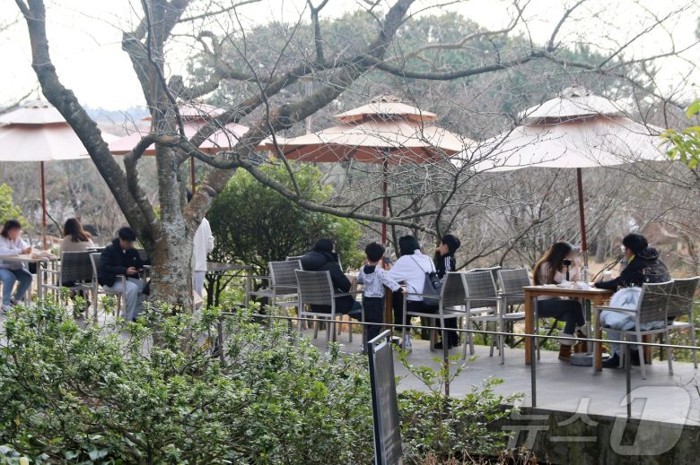 18일 제주도 서귀포시 안덕면 오설록 서광차밭에서 관광객들이 포근한 날씨를 만끽하고 있다. 이날 제주도의 낮 최고기온은 오후 1시 기준 15~17도까지 올랐다.2026.1.19/뉴스1 ⓒ News1 홍수영 기자