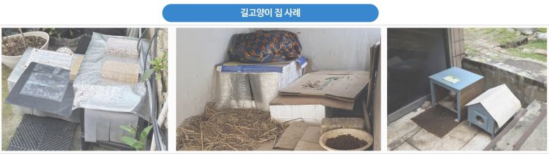 동물보호 인식이 높아지며 길고양이 집과 밥자리가 증가하고 있는 것으로 나타났다(서울시 제공). ⓒ 뉴스1