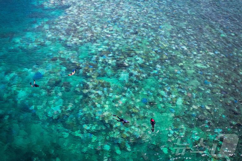 그레이트 배리어 리프 ⓒ AFP=뉴스1