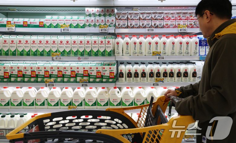 한 대형마트에서 고객이 서울우유 제품을 고르는 모습. 2026.1.8/뉴스1 ⓒ News1 오대일 기자