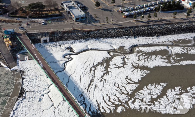 '1년 중 가장 춥다'는 절기상 대한(大寒)인 20일 경기 화성시 서신면 궁평항 인근의 갯벌이 얼어있다. 기상청은 이번 한파가 21~22일까지 이어지며 절정에 달할 가능성이 크다고 보고 있다. 2026.1.20/뉴스1 ⓒ News1 김영운 기자