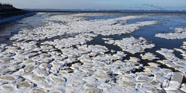 '1년 중 가장 춥다'는 절기상 대한(大寒)인 20일 경기 화성시 우정읍의 갯벌이 얼어있다. 기상청은 이번 한파가 21~22일까지 이어지며 절정에 달할 가능성이 크다고 보고 있다. 2026.1.20/뉴스1 ⓒ News1 김영운 기자