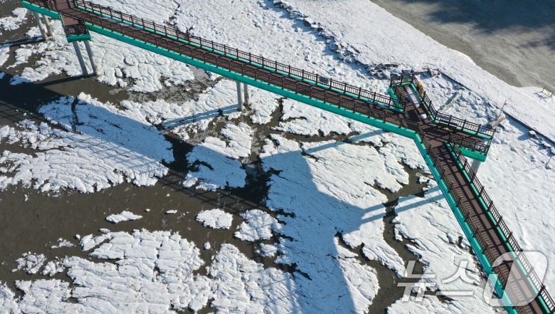 '1년 중 가장 춥다'는 절기상 대한(大寒)인 20일 경기 화성시 서신면 궁평항 인근의 갯벌이 얼어있다. 기상청은 이번 한파가 21~22일까지 이어지며 절정에 달할 가능성이 크다고 보고 있다. 2026.1.20/뉴스1 ⓒ News1 김영운 기자
