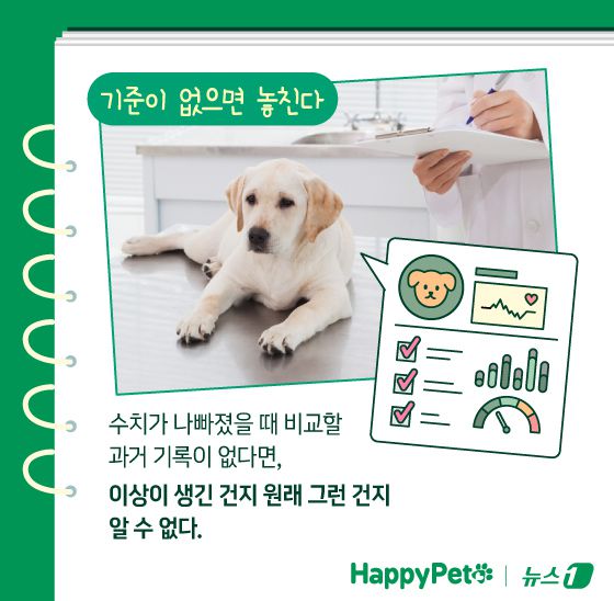 ⓒ News1 김지영 디자이너