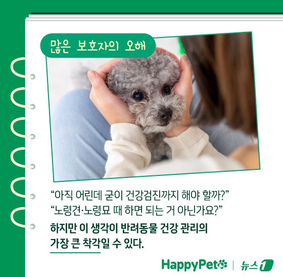 ⓒ News1 김지영 디자이너